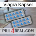 Viagra Capsule 23